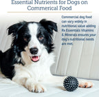 Rx Vitamins Essentials for Dogs - Multivitamínico y Minerales para Perros - con Spirulina Azul, Algas Kelp y Cardo Mariano - Polvo Completo de Vitaminas y Minerales - 227 g (8 oz)