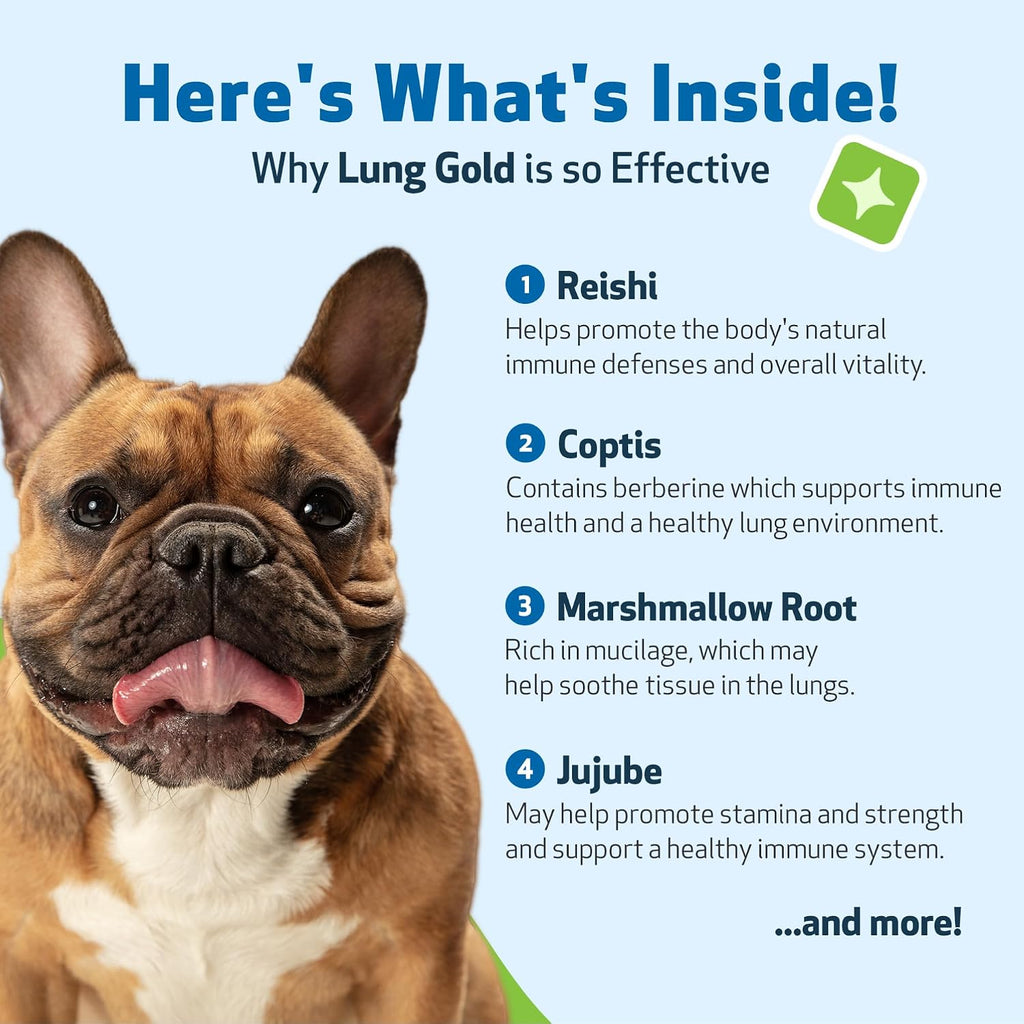 Pet Wellbeing Lung Gold para Perros – Apoyo Respiratorio Natural – 60 ml