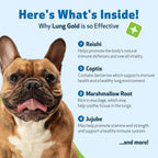 Pet Wellbeing Lung Gold para Perros – Apoyo Respiratorio Natural – 60 ml