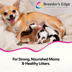 Breeder's Edge Oxy Momma Soft Chews - Postnatal Supplement for Lactating Dogs and Cats, 40 Count