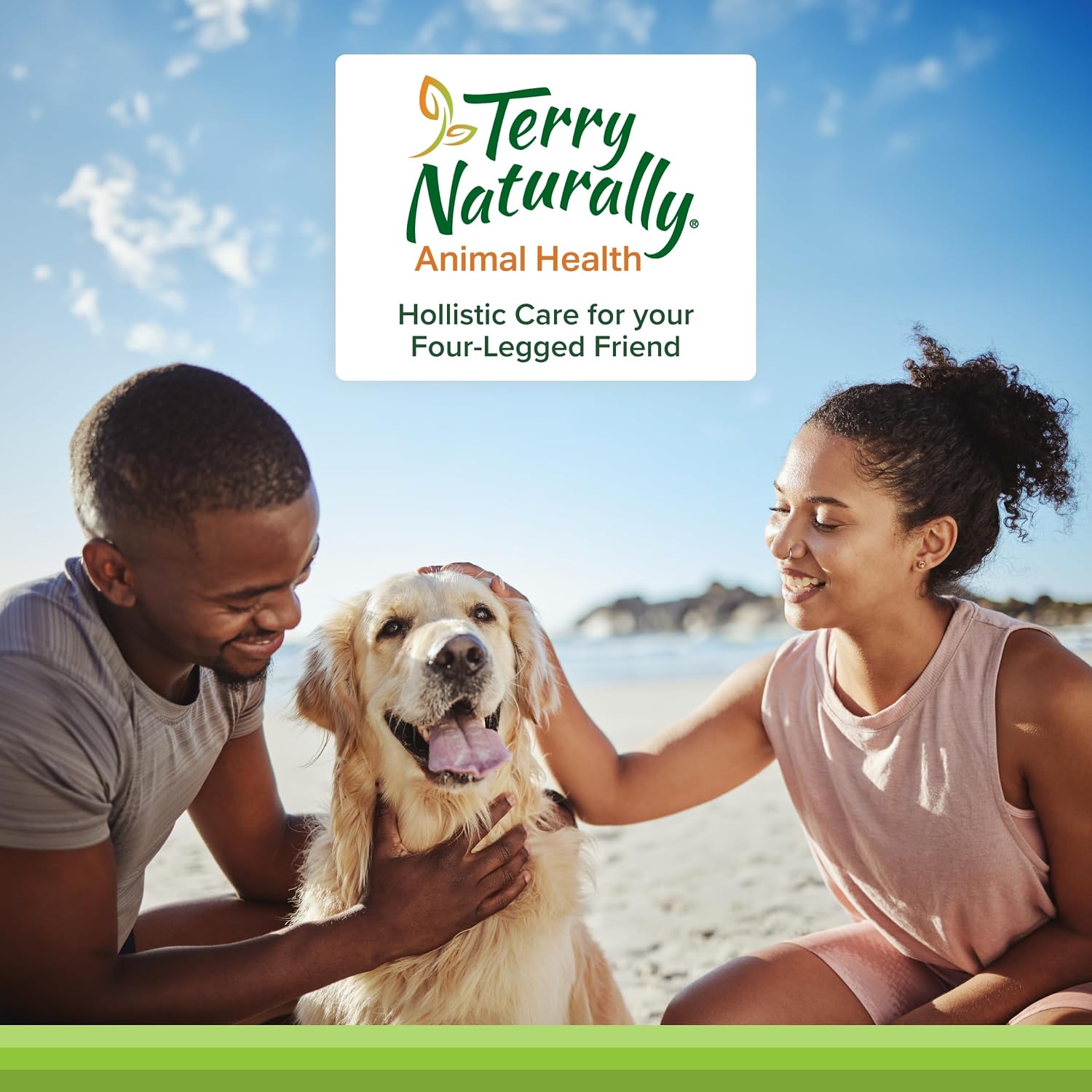 Terry Naturally Probiotic Daily - Probióticos para perros - 60 comprimidos masticables