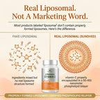 Sundhed Natural Vitamina C Liposomal Pura - 1200 mg por dosis, 120 Cápsulas (2 Meses)