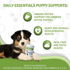 Waggedy Daily Essentials Puppy – Golosinas multivitamínicas para cachorros (60 unidades)