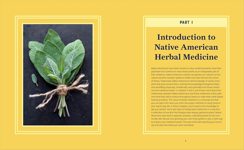 Guía para principiantes de la medicina herbal nativa americana: 75 remedios naturales para el bienestar y el equilibrio