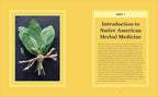 Guía para principiantes de la medicina herbal nativa americana: 75 remedios naturales para el bienestar y el equilibrio