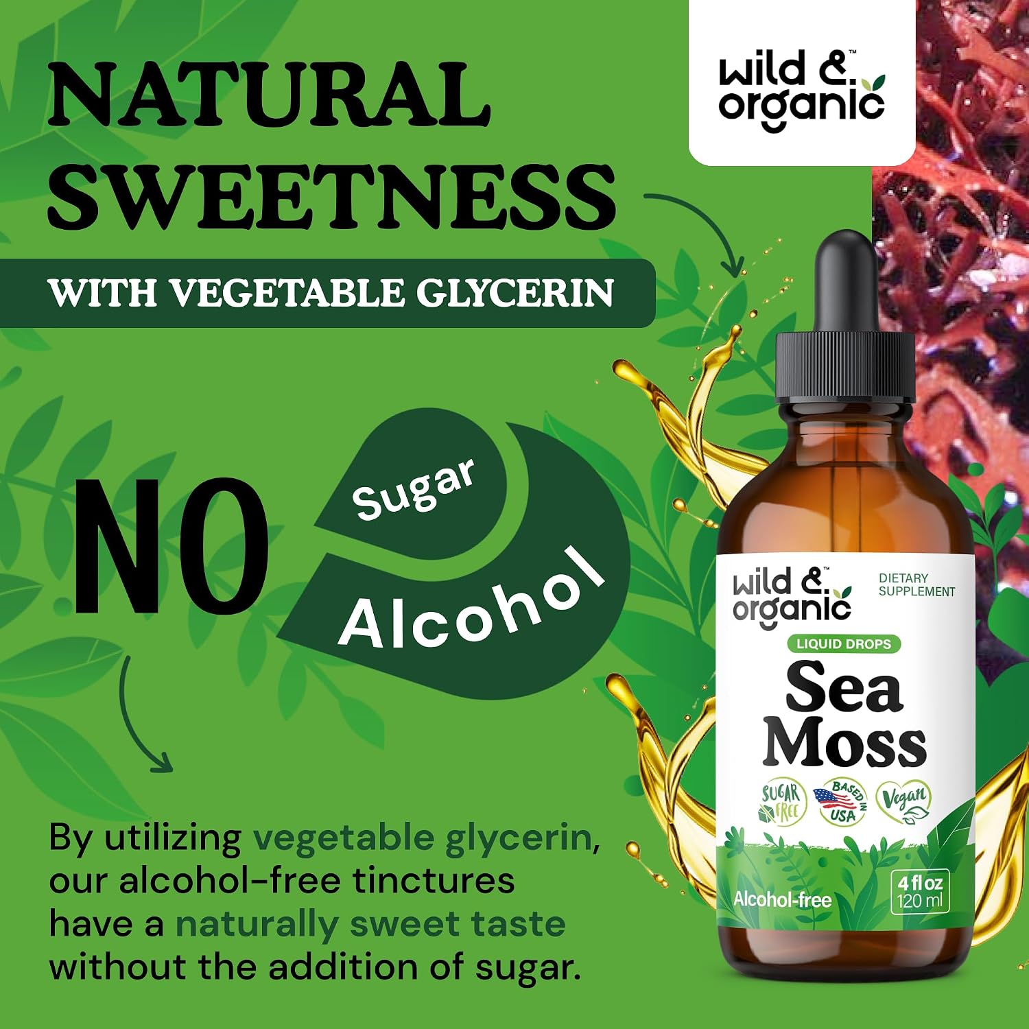 Wild & Organic Sea Moss Drops - Tintura multimineral de musgo irlandés y fucus - Vegano, sin alcohol ni azúcar - 118 ml