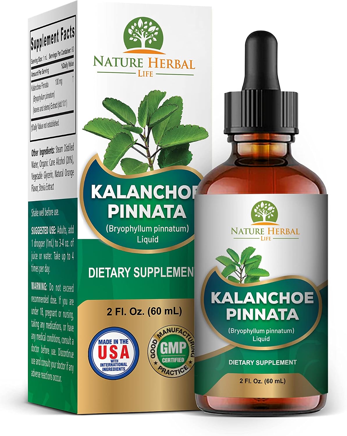 Kalanchoe Pinnata (Bryophyllum Pinnatum) Glicerita - Extracto Líquido de Hojas y Tallos - Suplemento Herbal Antioxidante - 60 ml