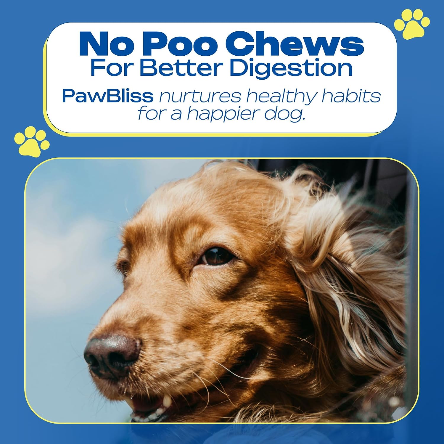 No Poo Chews para Perros – Masticables Suaves con Probióticos y Enzimas – 120 Unidades Sabor Bacon