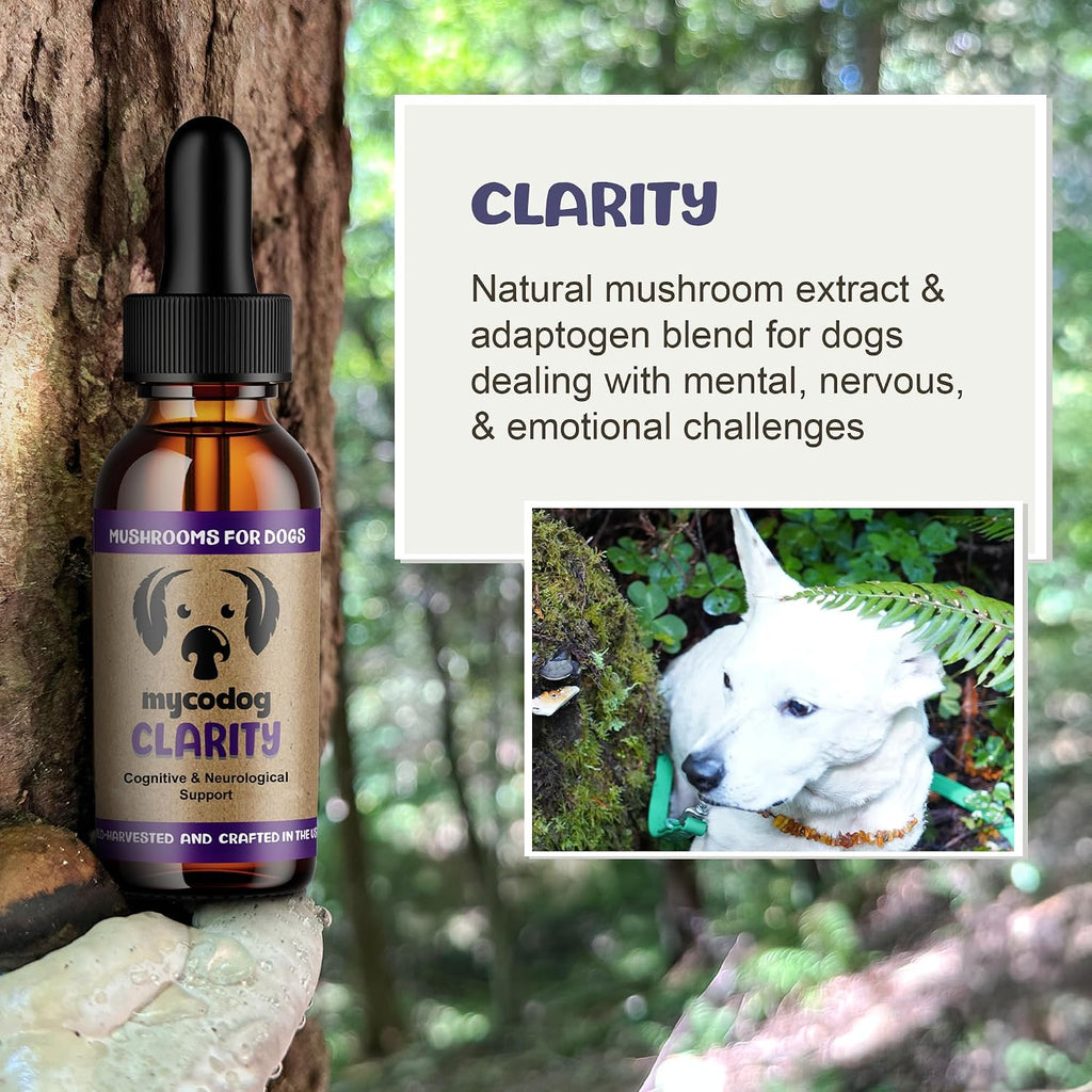 Clarity – Suplemento de Setas para el Apoyo Cognitivo en Perros con Adaptógenos