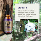 Clarity – Suplemento de Setas para el Apoyo Cognitivo en Perros con Adaptógenos