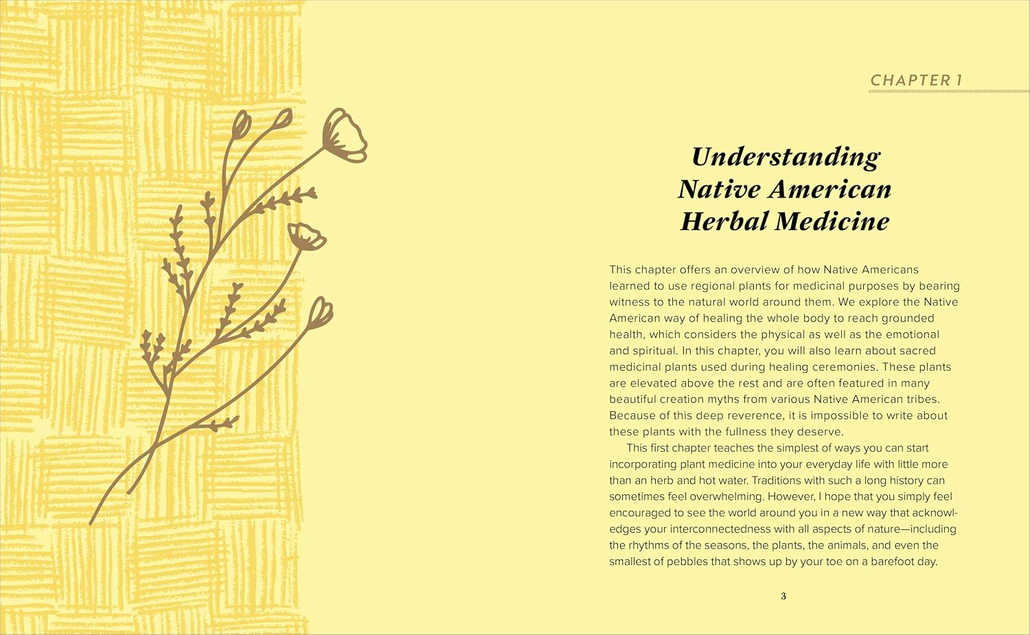 Guía para principiantes de la medicina herbal nativa americana: 75 remedios naturales para el bienestar y el equilibrio
