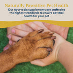 Ayush Pet Rentone - Apoyo Renal para Perros y Gatos, Gotas Líquidas Naturales, 59 ml