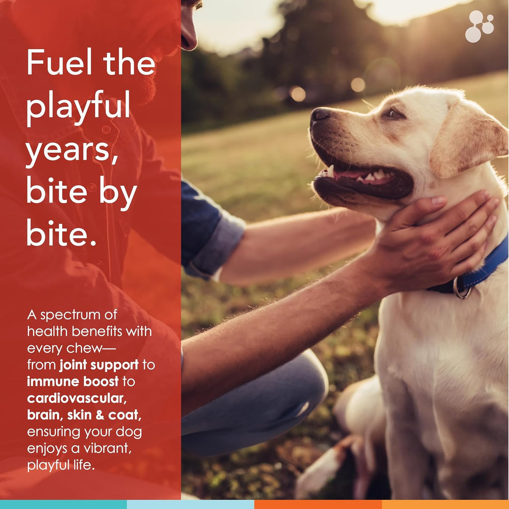 Masticables Multivitamínicos para Perros (90 uds), Glucosamina para Articulaciones, Omega-3 y Vitaminas para Piel, Hígado y Corazón - Spectrin de Nusentia