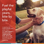 Masticables Multivitamínicos para Perros (90 uds), Glucosamina para Articulaciones, Omega-3 y Vitaminas para Piel, Hígado y Corazón - Spectrin de Nusentia