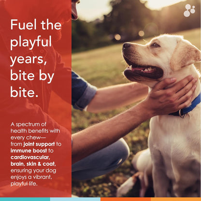 Masticables Multivitamínicos para Perros (90 uds), Glucosamina para Articulaciones, Omega-3 y Vitaminas para Piel, Hígado y Corazón - Spectrin de Nusentia