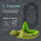 Dragon Herbs - Tao in a Bottle Cápsulas | Fórmula Herbal Adaptógena para el Estrés, Estado de Ánimo y Concentración (60 Cápsulas, 450 mg cada una)