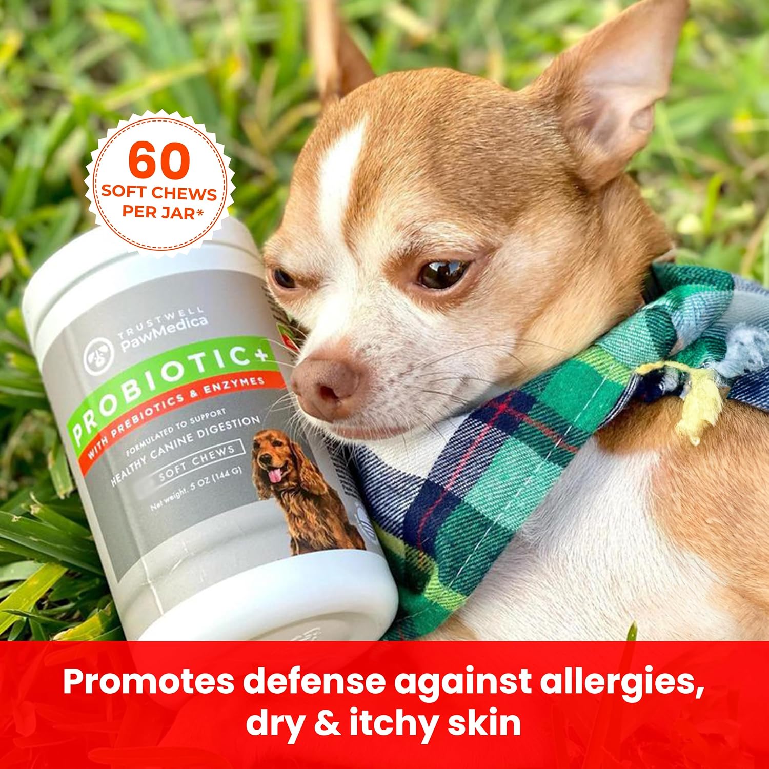 PawMedica Probióticos y Enzimas Digestivas para Perros - 60 Masticables