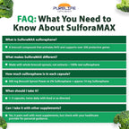 SulforaMAX (30 Cápsulas) - Sulforafano de Brócoli - Apoyo Inmunitario y Celular - Vegano, No OGM