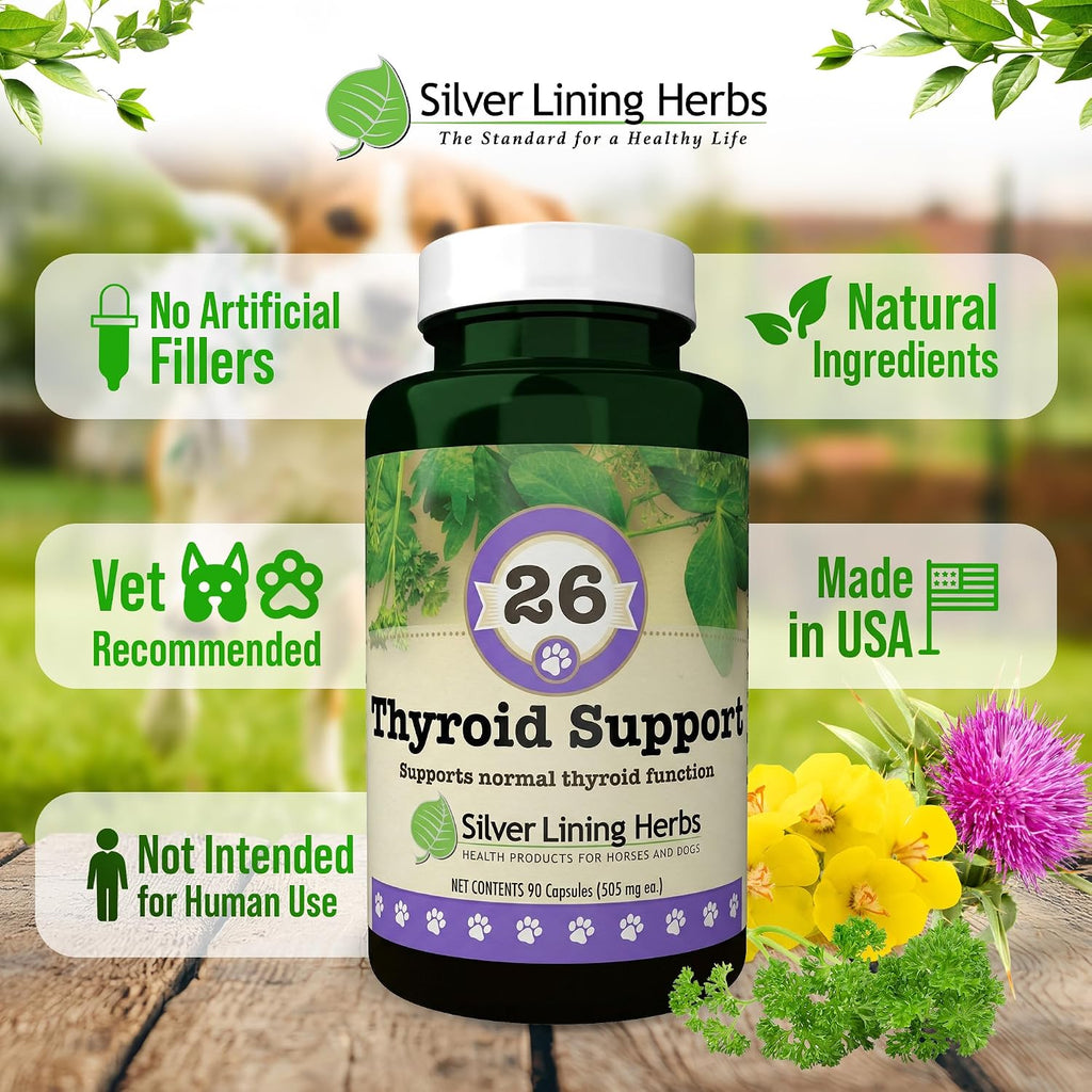 Suplemento Tiroideo Natural para Perros con Perejil, Ashwagandha, Jengibre, Cardo Mariano y Gordolobo - 90 Cápsulas