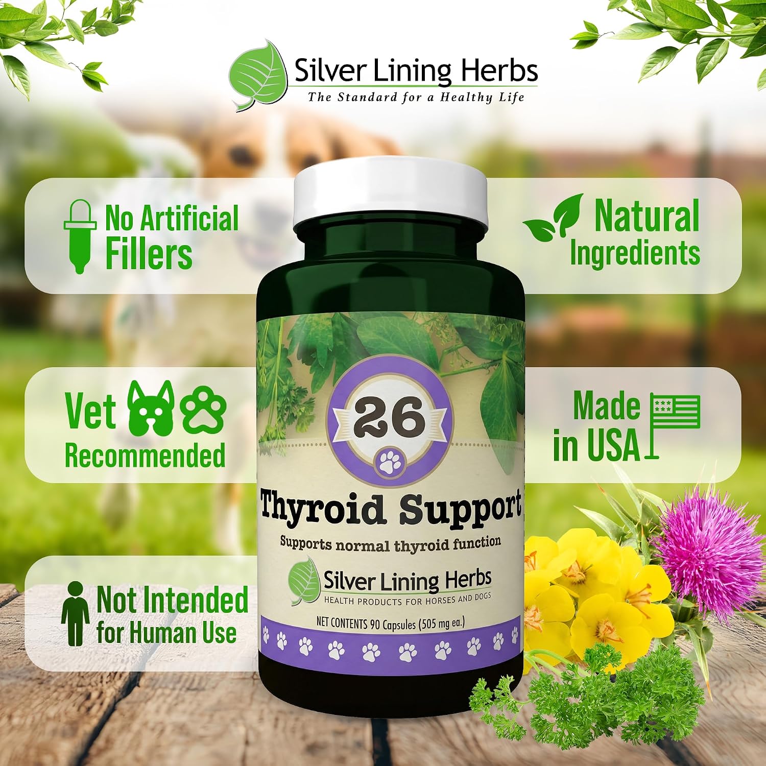 Suplemento Tiroideo Natural para Perros con Perejil, Ashwagandha, Jengibre, Cardo Mariano y Gordolobo - 90 Cápsulas