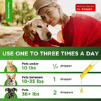 Multivitamínico Líquido para Perros y Gatos 10 en 1 - Vitaminas C, D3, Grupo B, Glucosamina, Arándano - Sabor a Carne - 60 ml