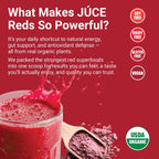 Terra Kai Organics JUCE Reds Superalimento Orgánico en Polvo - Sabor Garden Berry (230g)