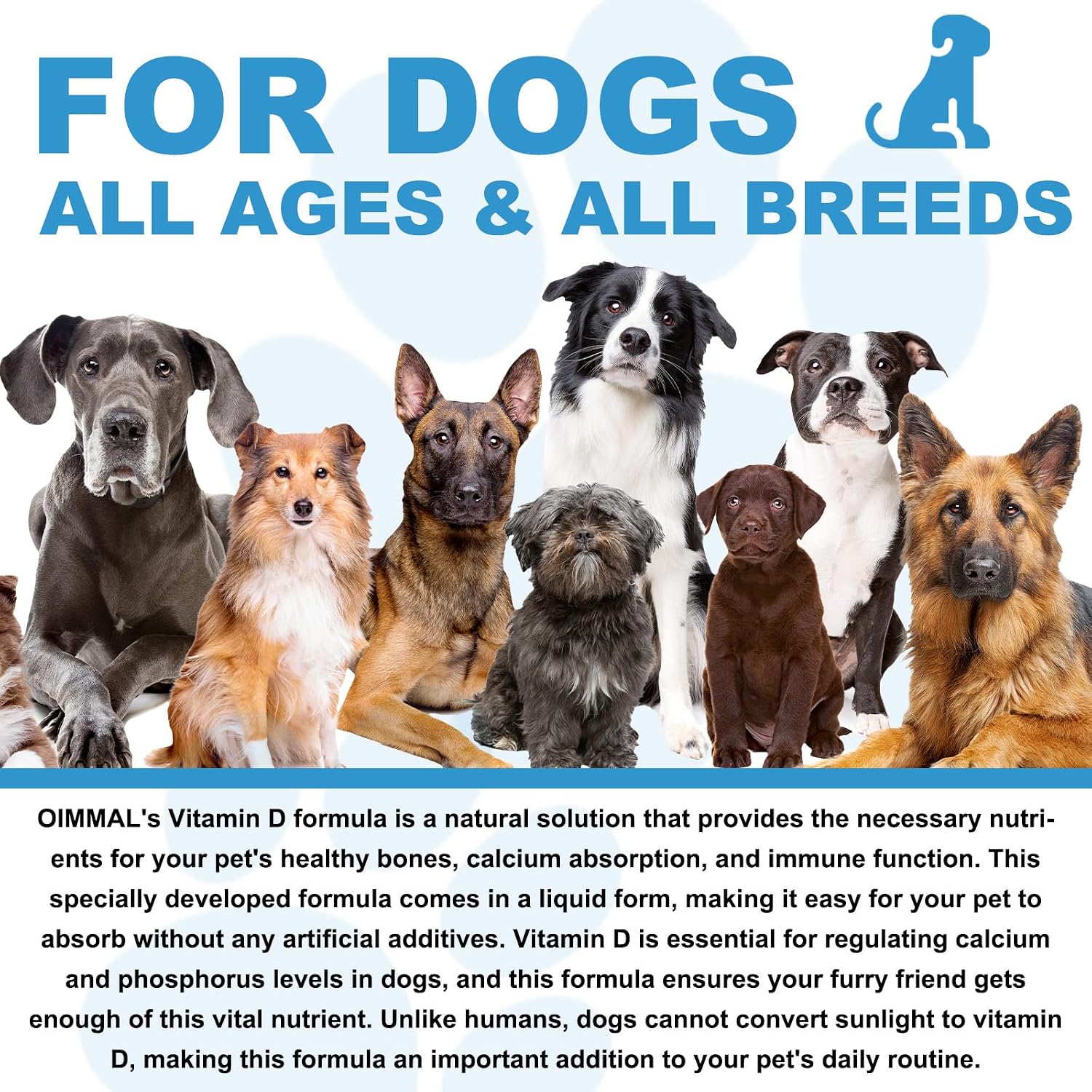 Suplemento Líquido de Vitamina D para Perros - 2 fl oz (59 ml)
