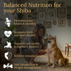 Prestige Breed Multivitamínicos para Shiba Inu, 90 comprimidos, Fabricado en EE.UU. con auténtico bacon