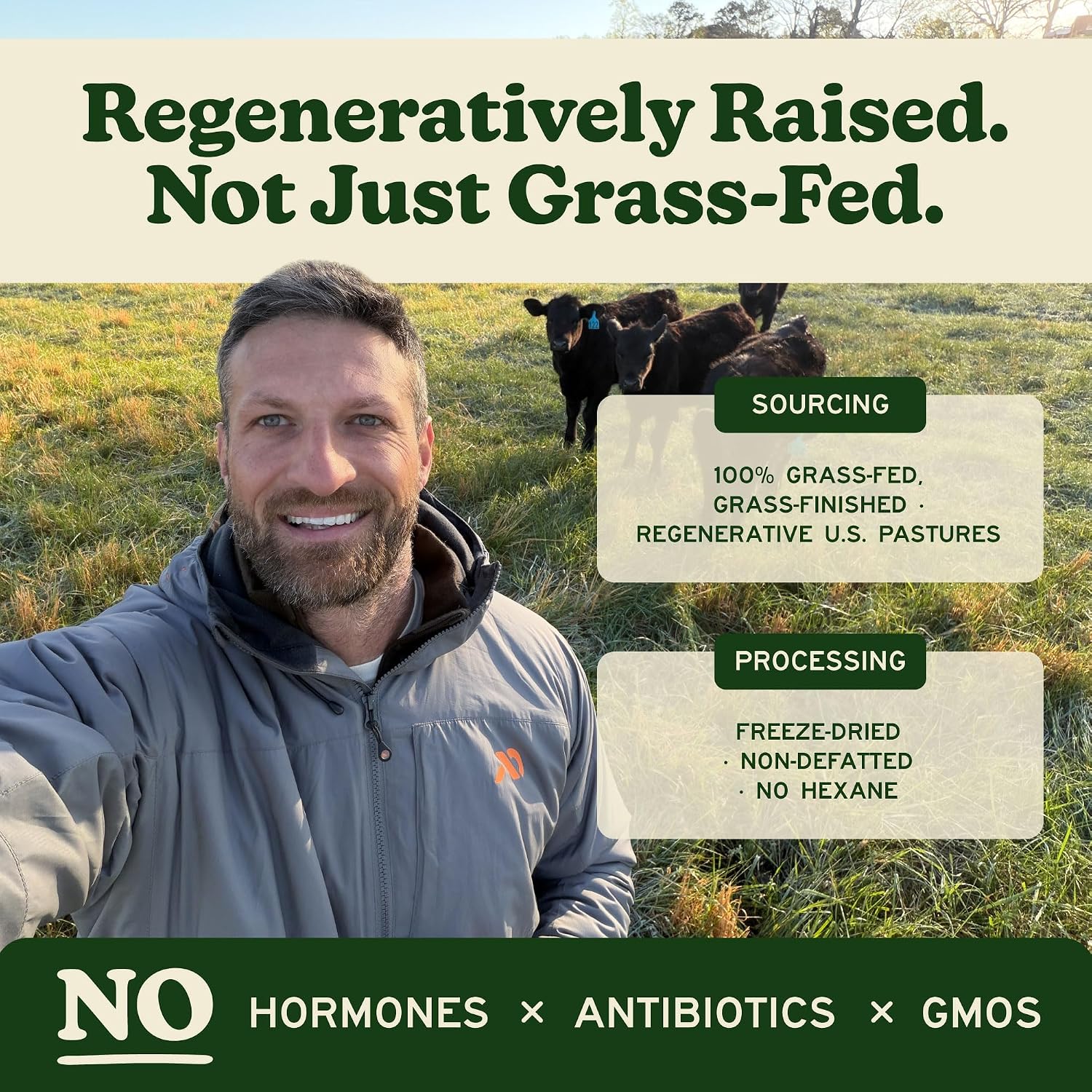 MK Supplements Grass-Fed Beef Organs Capsules | 5 Órganos en Proporciones Naturales | B12, Cobre y Hierro Hemo | Criado de Forma Regenerativa | 150 Cápsulas