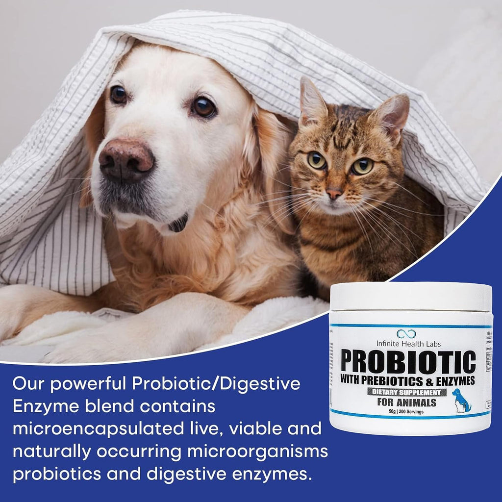 Probióticos para perros y gatos - Fórmula veterinaria, polvo con prebióticos y enzimas para salud digestiva e inmunidad - 200 raciones (50 g)