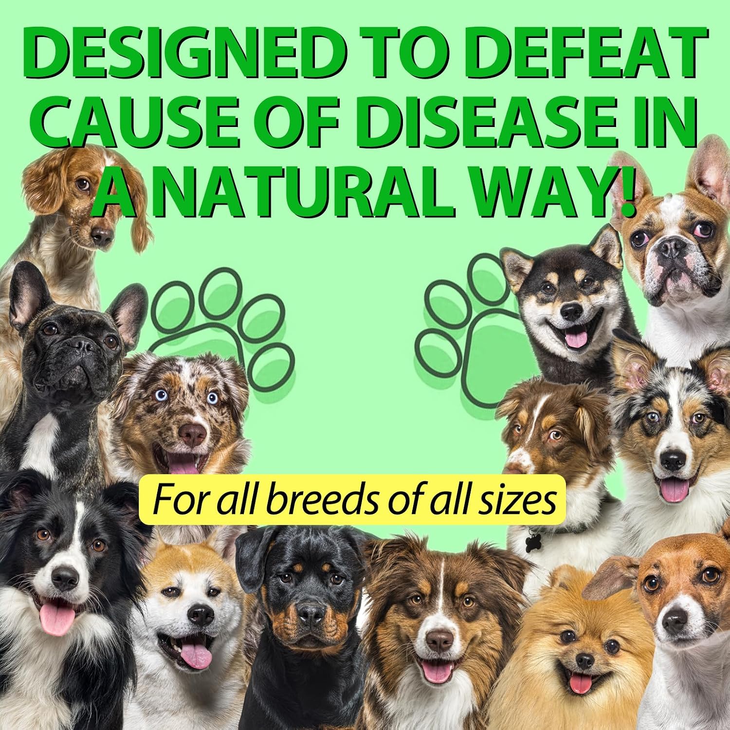 Antibióticos Naturales para Perros – Suplemento Herbal 60 ml
