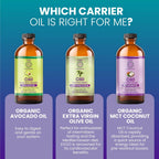 C60 Power con Aceite de Aguacate Orgánico - Apoyo Antioxidante Natural, 99,99% Fullerenos Puros - 118 ml