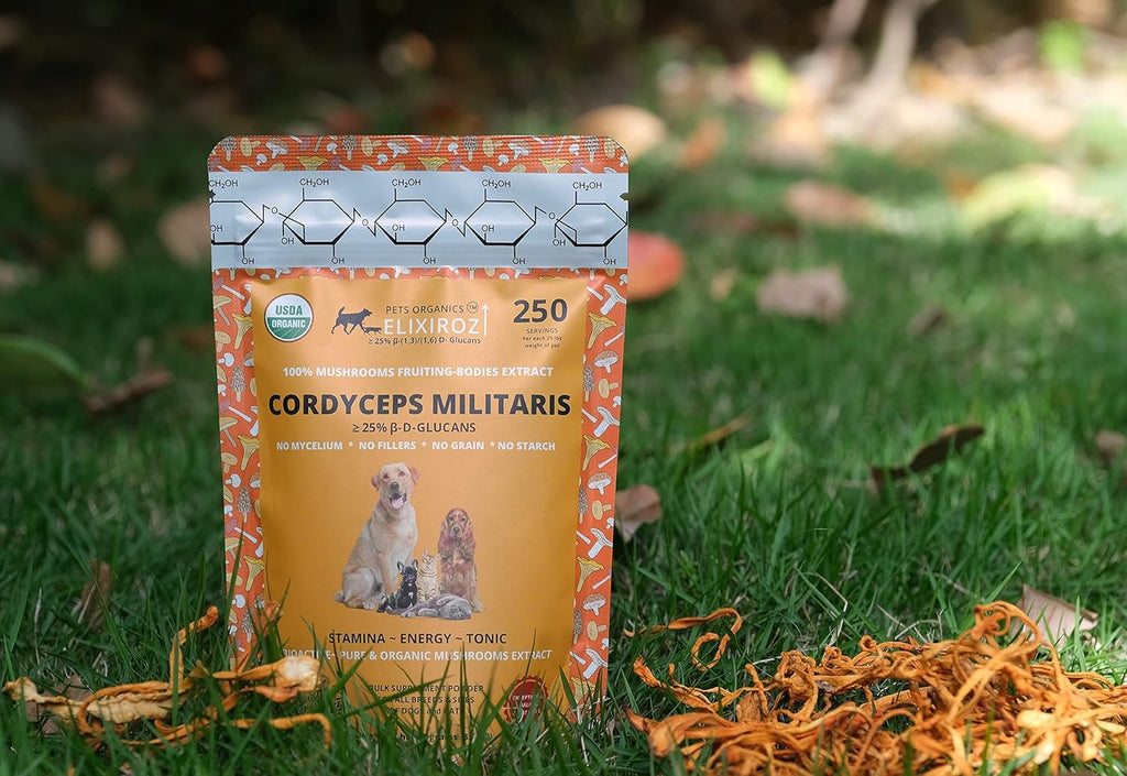 Extracto de Cordyceps para Perros y Gatos – 25%+ Beta Glucanos – Cuerpo Fructífero – 250 Dosis