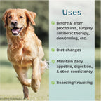 VetOne Advita Suplemento Probiótico para Perros - 30 Sobres