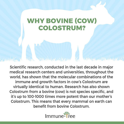 100% Calostro Bovino en Polvo, 120 Raciones – Inmunoglobulinas (IgG, IgA, IgM): contribuyen a la defensa natural – Image 5