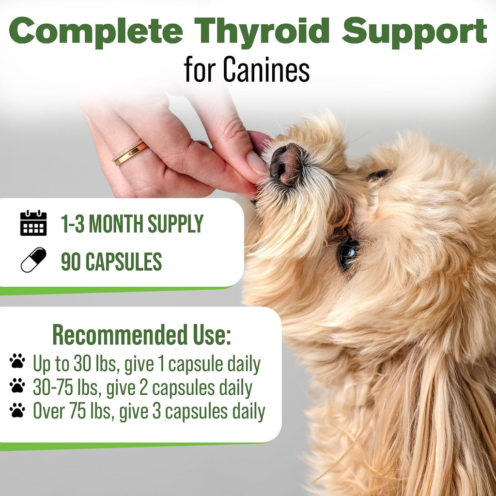Suplemento Tiroideo Natural para Perros con Perejil, Ashwagandha, Jengibre, Cardo Mariano y Gordolobo - 90 Cápsulas
