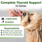 Suplemento Tiroideo Natural para Perros con Perejil, Ashwagandha, Jengibre, Cardo Mariano y Gordolobo - 90 Cápsulas