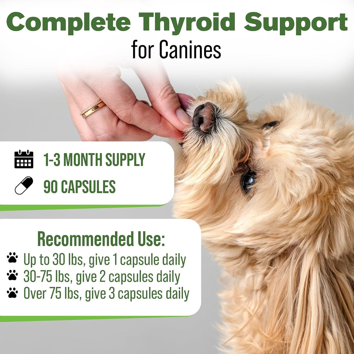 Suplemento Tiroideo Natural para Perros con – Cardo mariano : Conocido por su apoyo al hígado gracias a la – Image 5