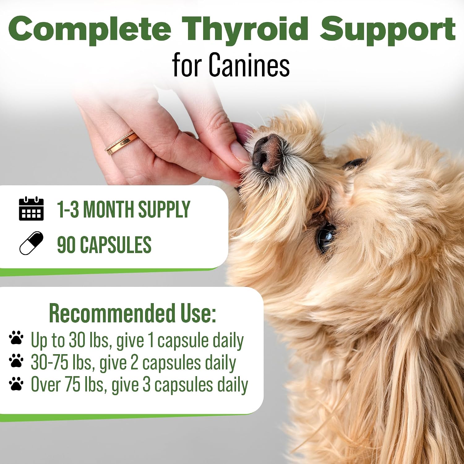 Suplemento Tiroideo Natural para Perros con Perejil, Ashwagandha, Jengibre, Cardo Mariano y Gordolobo - 90 Cápsulas