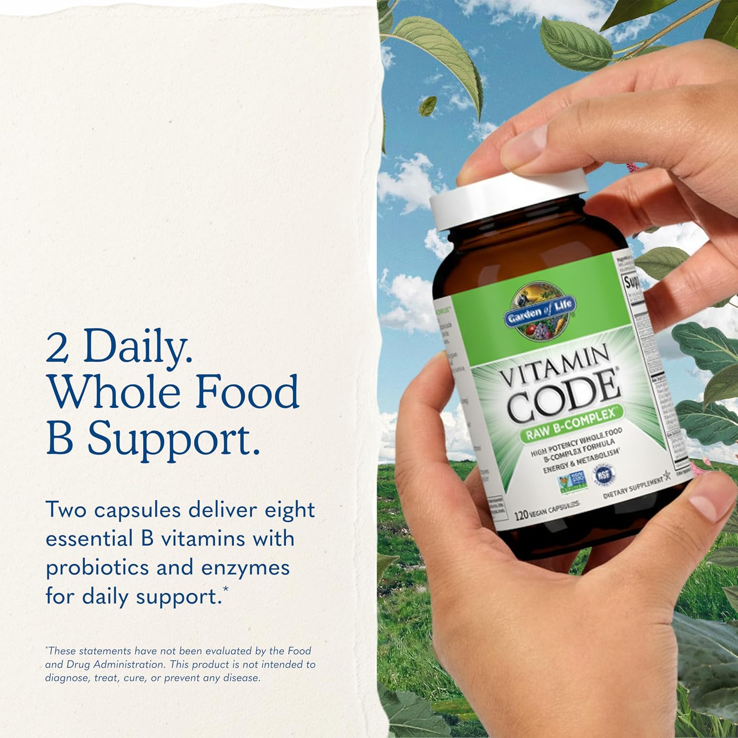 Garden of Life Complejo B, 120 Cápsulas Veganas, Alta Potencia para Energía y Metabolismo con B6, Folato y B12 como Metilcobalamina más Probióticos
