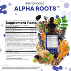 Tongkat Ali Líquido con Shilajit, Ashwagandha, Turkesterona, Fadogia Agrestis, Magnesio, Musgo Marino y Zinc - Clean Nutra