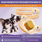 NATURE TARGET Probiotics for Dogs, 6 Billion CFUs, Freeze Dried Dog Probiotics with Prebiotics & Enzymes for Dogs, 180 Count