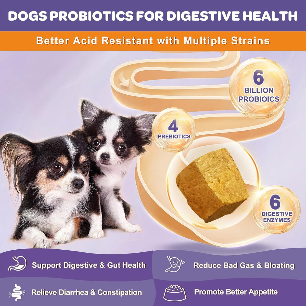 Probióticos para perros NATURE TARGET, 6 mil millones de UFC, liofilizados con prebióticos y enzimas, 180 masticables – Image 2