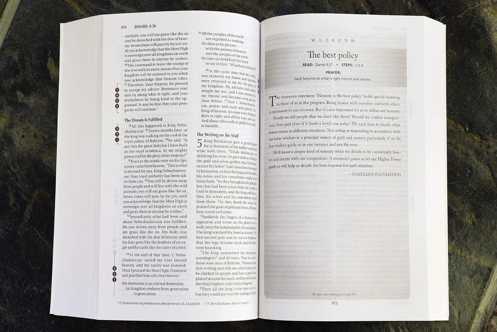 Biblia de Recuperación NIV (Edición Devocional, Tapa blanda)