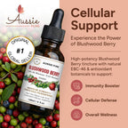 Blushwood Berry EBC-46 Tintura – Apoyo Inmunológico y Celular – Antioxidante Natural – Fórmula Vegana Sin Alcohol – 120 ml