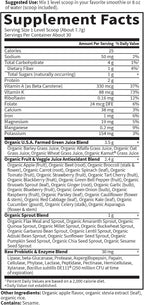 Garden of Life Raw Organic Perfect Food - Superalimento en Polvo Bio Lemon Ginger, 30 raciones