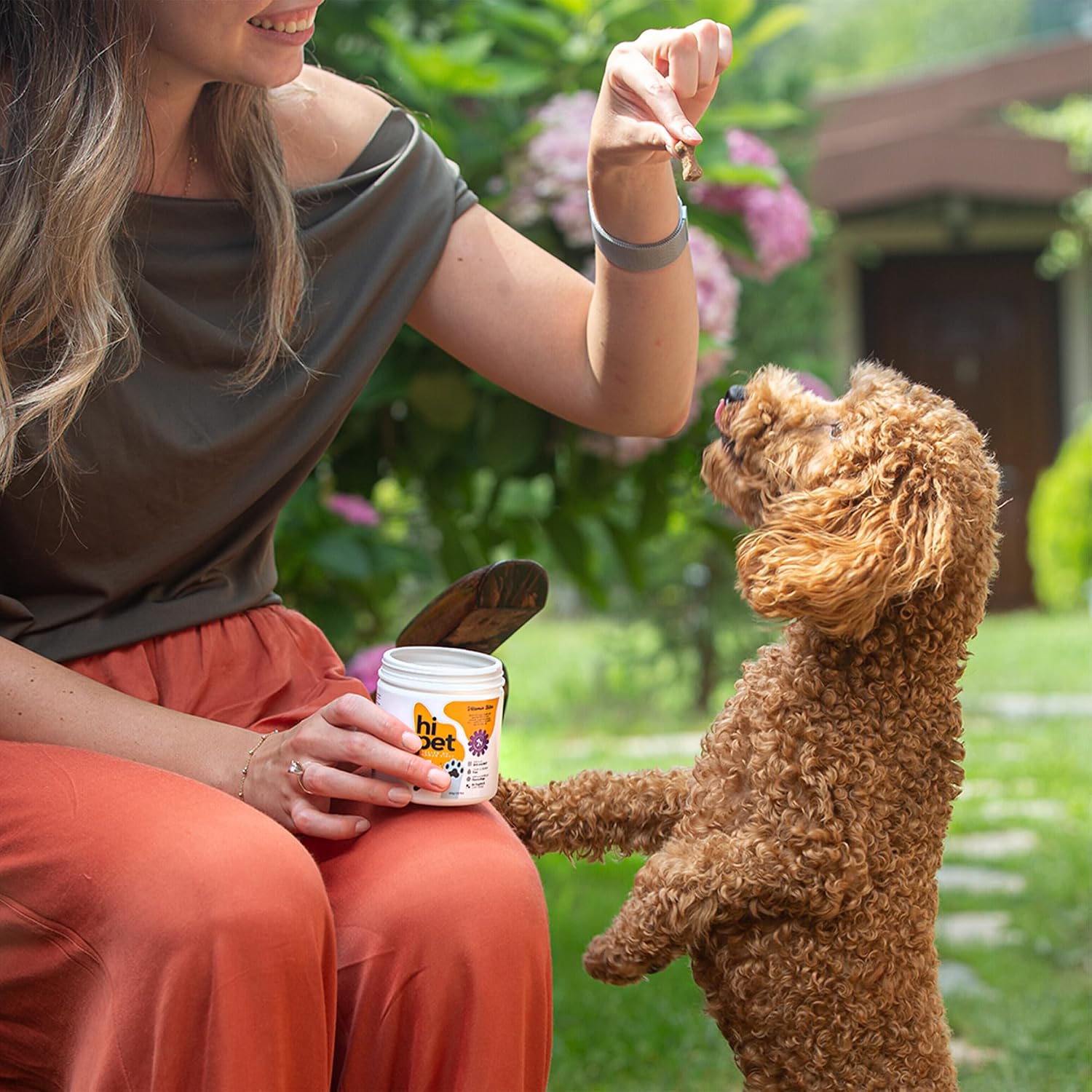 HiPet Multivitamin Bites - Suplemento vitamínico para perros (Pack de 6)