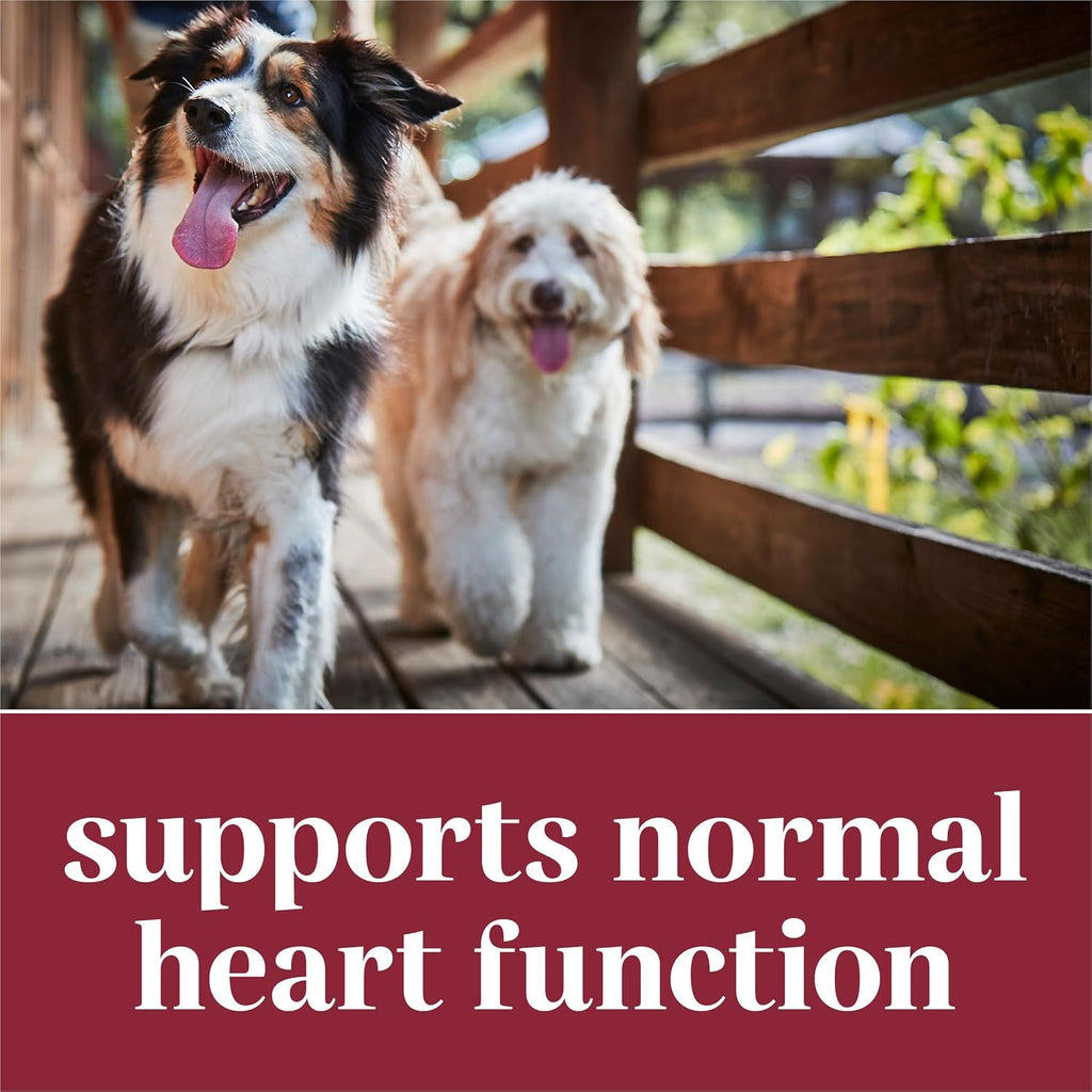 EverRoot Suplemento para el Corazón de Perros - Comprimidos Masticables con Taurina y Mejillón de Labio Verde