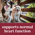 EverRoot Suplemento para el Corazón de Perros - Comprimidos Masticables con Taurina y Mejillón de Labio Verde