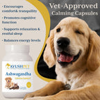 Ayush Pet Ashwagandha Cápsulas para Perros y Gatos, 120 dosis